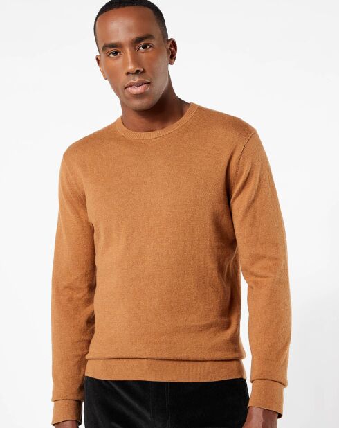 Sweat Cashmere Blend Crewneck beige foncé