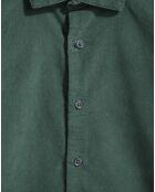 Chemise Alpha Spread Collar Velours vert foncé