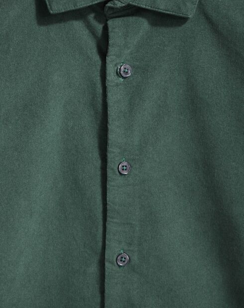 Chemise Alpha Spread Collar Velours vert foncé