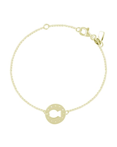 Vergulde zilveren visarmband