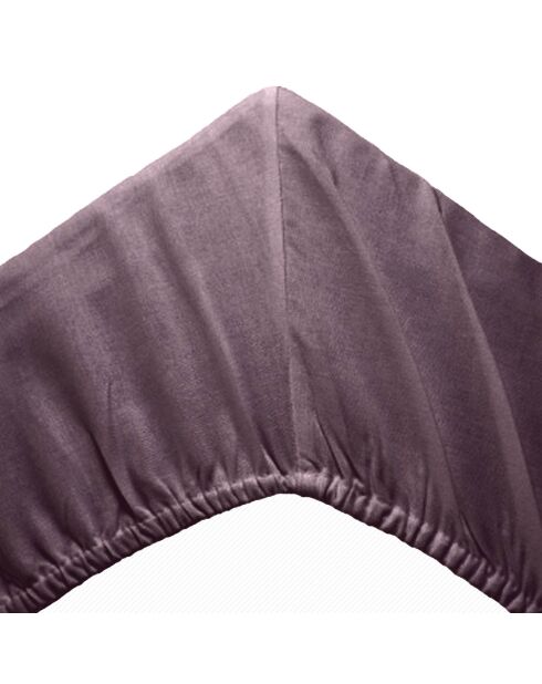 Drap housse 100% Percale de Coton bonnet 30 cm aubergine