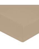 Drap housse 100% Percale de Coton bonnet 30 cm ficelle