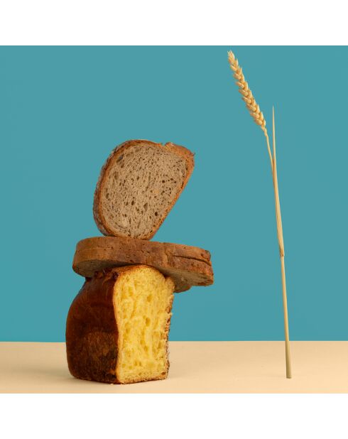 Macchina per il pane bianco con semi - 550W