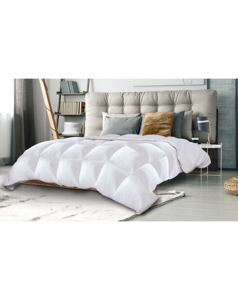 Couette 500gsm plume d'oie anti acariens blanche - 140x200 cm