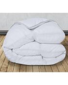 Couette 500gsm plume d'oie anti acariens blanche - 200x200 cm