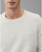 Pull en Laine mélangée gris clair