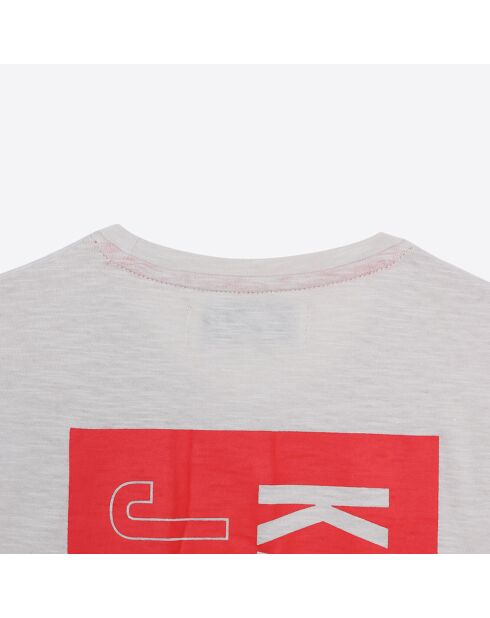 T-Shirt en Coton Manches Courtes gris perle