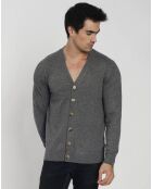 Cardigan Charlotte en Cachemire & Soie loup