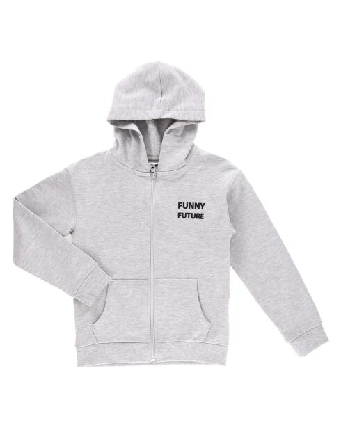 Sweat zippé en Coton Viking gris