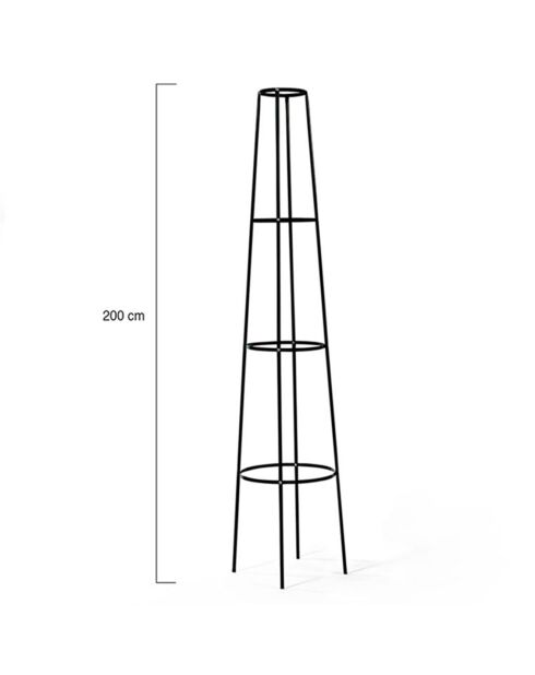 Tuteur rosier vert  -  46x19x200 cm
