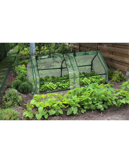 Serre de forçage blanche - 120x50x50 cm