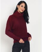 Pull Salomé en Cachemire mélangé bordeaux