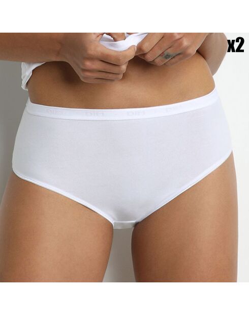2 Culottes taille haute Coton Plus Bio blanches