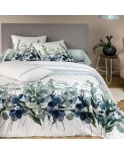 Taie d'oreiller 100% Percale de Coton Eucalyptus multicolore