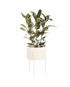 Vaso da fiori Maki grande beige - 30x20x46 cm