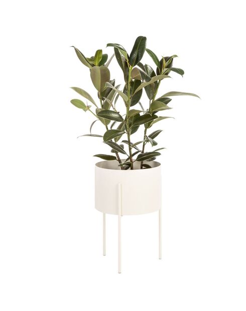 Vaso da fiori Maki grande beige - 30x20x46 cm