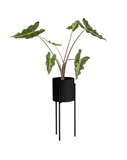 Vaso da fiori Maki grande nero - 20x20x55 cm