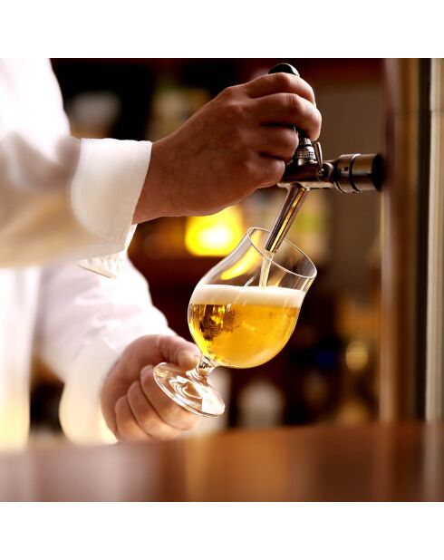 6 Verres à bière Berlin transparents - 40 cl