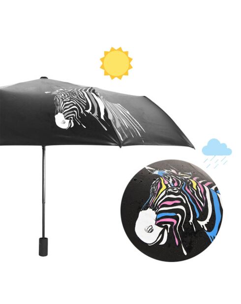 Faltbarer Regenschirm - Schwarze manuelle Öffnung