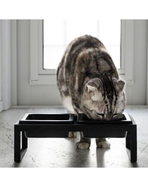 Tower zwarte verhoogde dubbele dierenkom - 29x15,5x10 cm