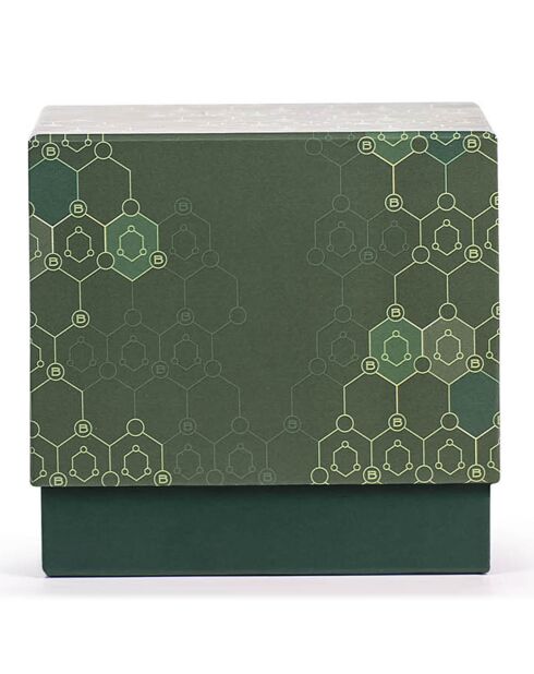 Octagon Vetiver & Green Leaf Collection Duftkerze, 2 Dochte, 80 Stunden