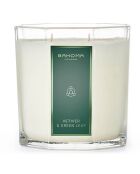 Octagon Vetiver & Green Leaf Collection Duftkerze, 2 Dochte, 80 Stunden