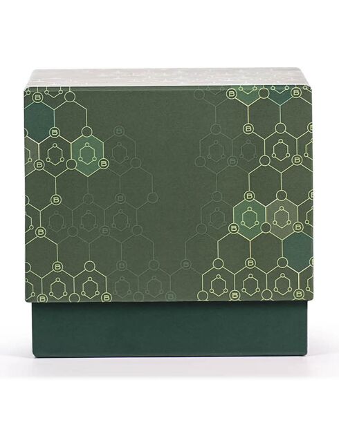 Octagon Green Tea & Mango Collection Duftkerze, 2 Dochte, 80 Stunden