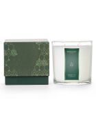 Octagon Green Tea & Mango Collection Duftkerze, 2 Dochte, 80 Stunden