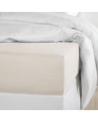 Drap housse Satin Olivia sable