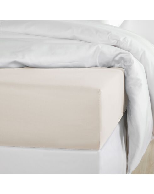 Drap housse Satin Olivia sable