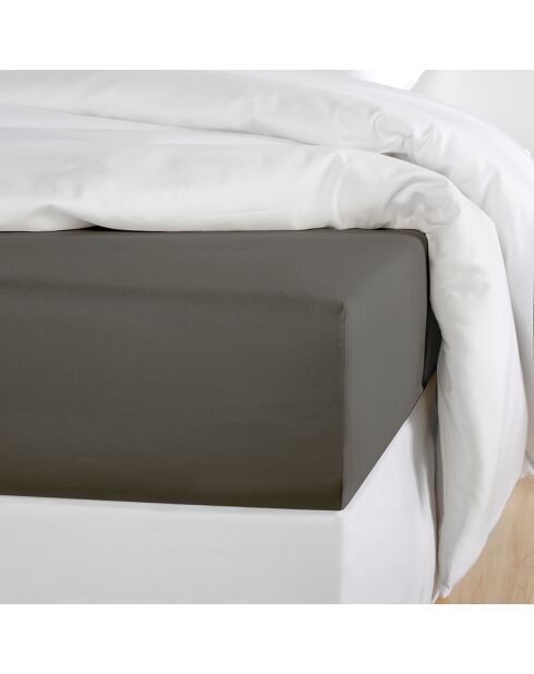 Drap housse Satin Olivia ébène