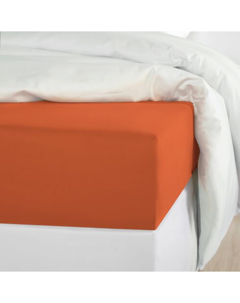 Drap housse Satin Olivia caramel