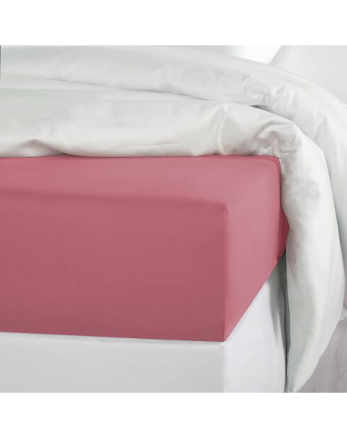 Drap housse Satin Olivia rose