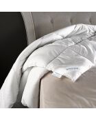 Couette 4 saisons Dream blanche - 240x220 cm