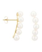 Boucles d'oreilles Grimpantes Perle or jaune