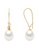 Geelgouden en natuurlijke witte zoetwaterpareloorbellen