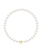 Bracelet Lupin Or Jaune & Perle d'Eau Douce ronde blanc naturel