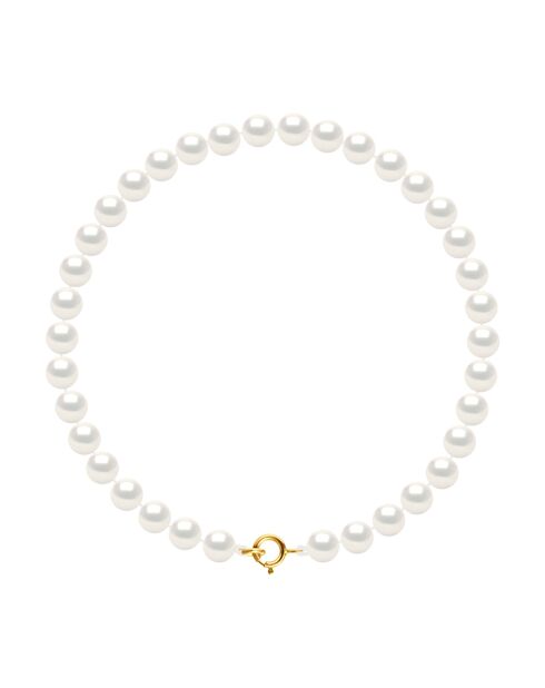 Bracelet Lupin Or Jaune & Perle d'Eau Douce ronde blanc naturel