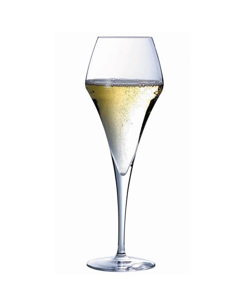6 Flûtes Lys transparentes - 21 cl