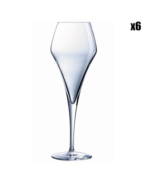6 Flûtes Lys transparentes - 21 cl