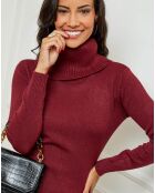 Robe pull en Cachemire mélangé Stéphanie bordeaux
