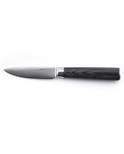 Couteau légume Damarus noir - 20.5 cm