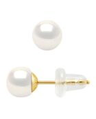 Boucles d'Oreilles Or Jaune & Perles d'Eau Douce boutons blanc naturel