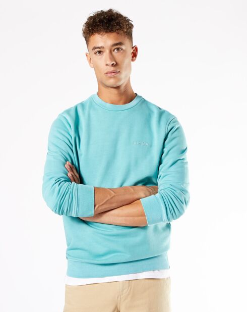 Pull Logo vert clair