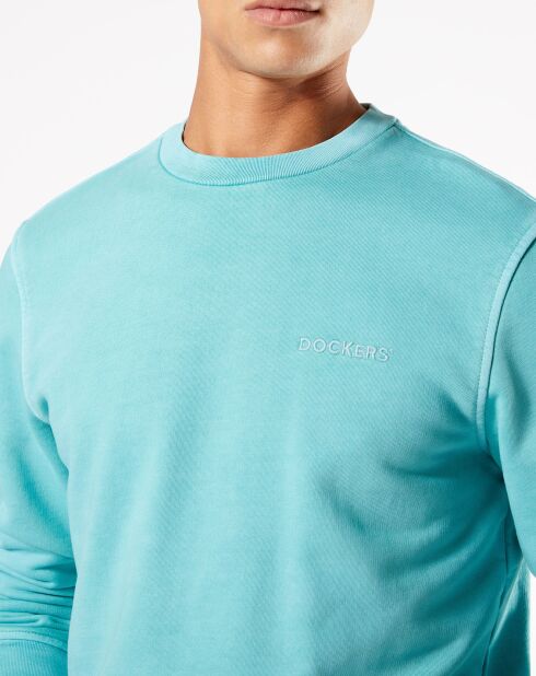 Pull Logo vert clair