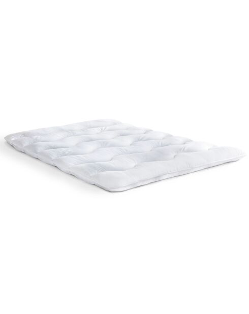 Cubrecolchón de plumas de ganso, antiácaros, con diseño de colibrí blanco, 1000 g/m², 90 x 190 cm