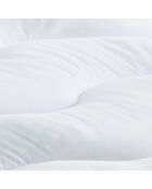 Surmatelas 1000gsm plumes d'oie anti-acariens colibri blanc - 90x190 cm