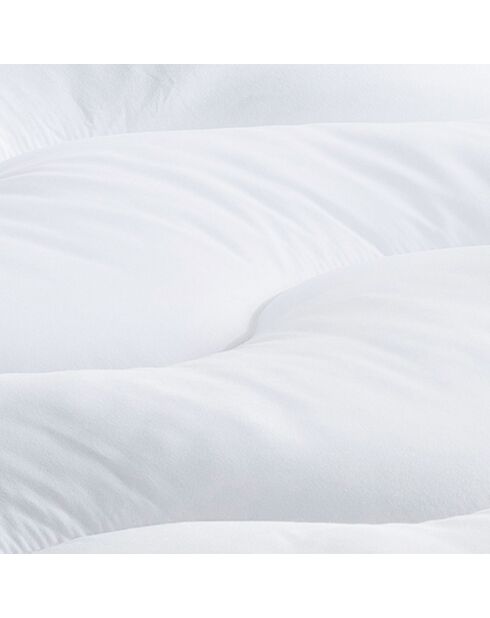 Cubrecolchón de plumas de ganso, antiácaros, con diseño de colibrí blanco, 1000 g/m², 90 x 190 cm