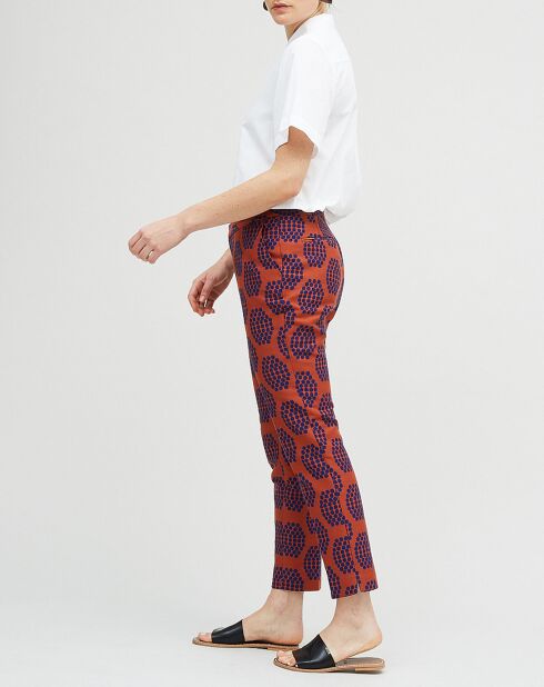 Pantalones Prescott marrón/azul