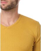 Pull Gienah jaune